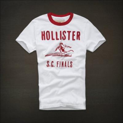 Hollister Men Shirts-376